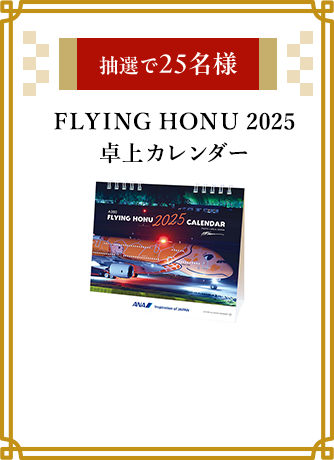 I25l FLYING HONU 2025 J_[