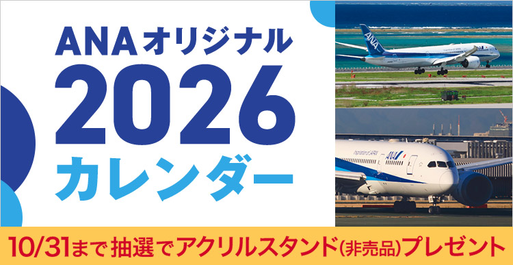 ANA IWi 2026 J_[ 10/31܂ IŃANX^hi񔄕ijv[g