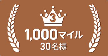 3 1,000}C 30l