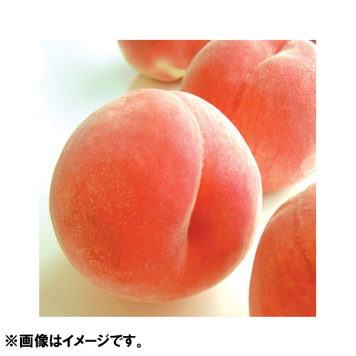 ＜新潟県産＞白根白桃「特秀」2kg（6～7玉）
