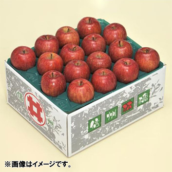 【訳あり】＜長野県産＞リンゴ10kg