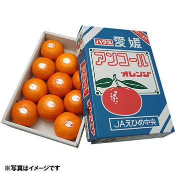 ＜愛媛県産＞アンコールオレンジ 2kg