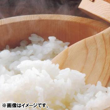 【新米】＜押野農園＞山形県産特別栽培米つや姫5kg<br>【受注締め切り：2022/12/11】