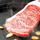 �����{�O��a���������㋍���T�[���C���X�e�[�L