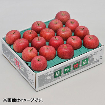【訳あり】＜長野県産＞リンゴ 5kg