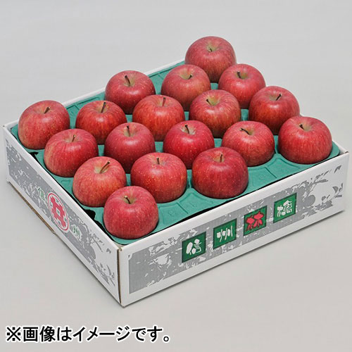 【訳あり】＜長野県産＞リンゴ 5kg【受注締め切り日：2024/3/10】