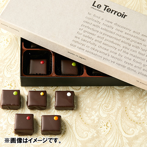 Le Terroire ショコラ　10個