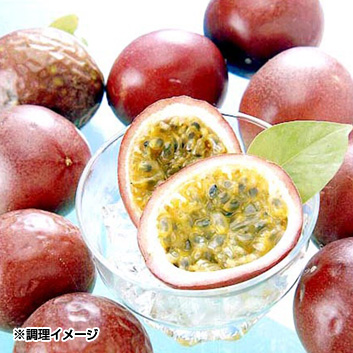 ꌧYpbVt[c8`12ʁy󒍒ߐ؂F2023/6/1z