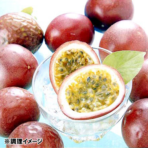 沖縄県産パッションフルーツ8～12玉