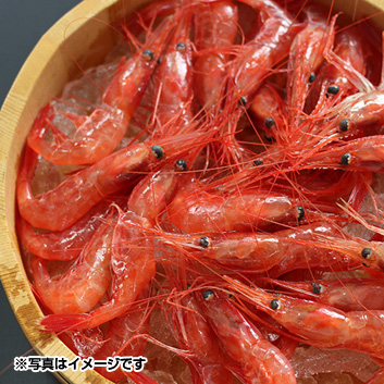 蝦名漁業部 北海道羽幌産 甘えび詰合せ