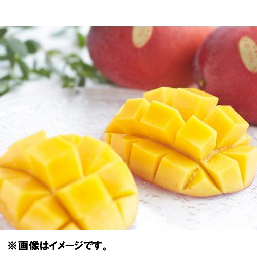 【送料込】沖縄県長嶺農園「林檎」マンゴー1kg（2～3玉）