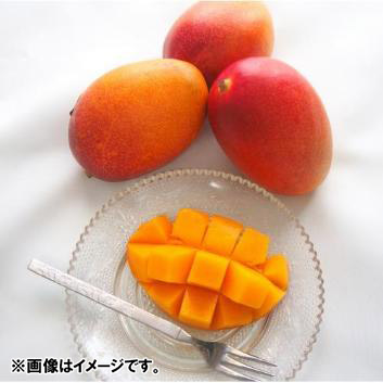 沖縄県長嶺農園「林檎」マンゴー秀品1kg（2玉）