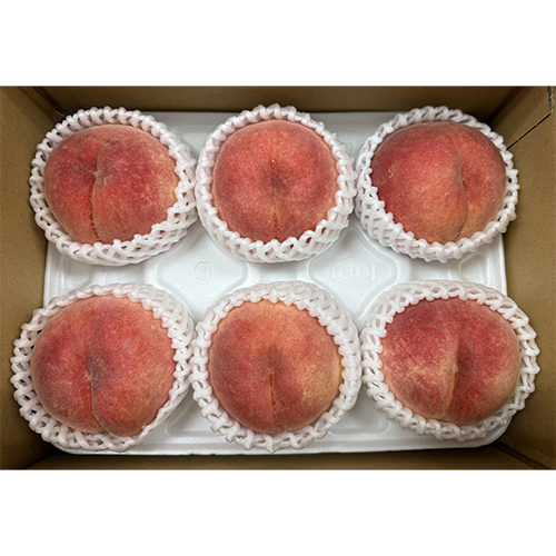 ���͂��C���[�W