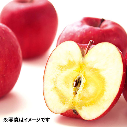 ＜青森県＞ナカムラ　蜜入りサンふじりんご1.8kg<br>【受注締め切り：2022/12/15】