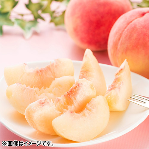 福島県産白桃まどか2.5kg（7～10玉）