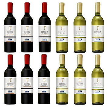 【送料無料】2019年度機内ワイン　エコノミークラス赤白ワイン12本セット