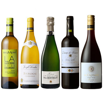 【送料無料】シャンパンが1本入ったフランス周遊ワイン5本セット