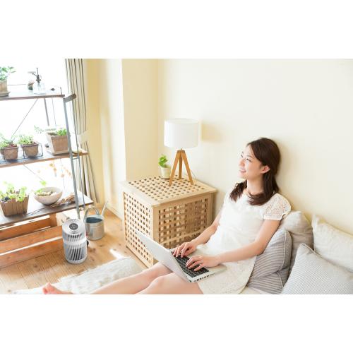 空気清浄機　新品未開封　ボネコ 空気清浄機　P230 AIR PURIFIER