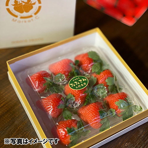 PREMIUM STRAWBERRY 9gy󒍒ߐ؂F2025/4/10z