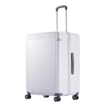 ace.pZCh3-Z 100L 06916