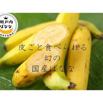 yRiz炲ƐHׂ錶̍oii(R}Y ˓oii)p