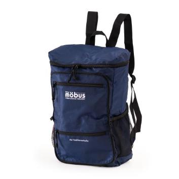 A.L.Imobus ܂肽݃obO bNiXNGAj 21L
