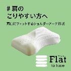 nishikawa{@FlatwV[s[@݉i