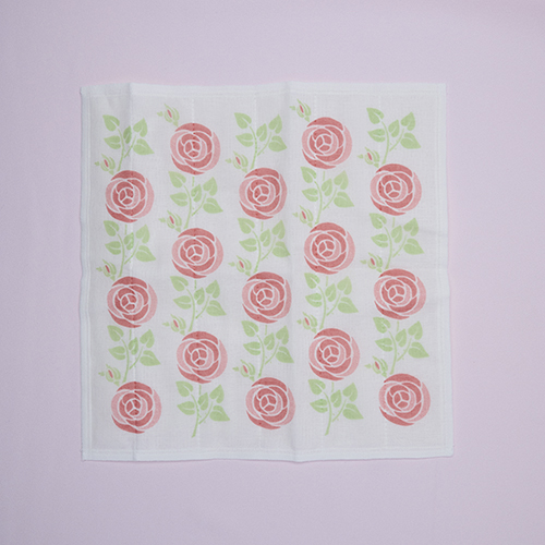 ���i�C���[�W�i�o�����ӂ���j