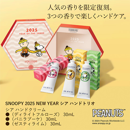 SNOOPY 2025 NEWYEAR VA nhgI 2