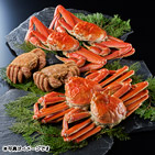 �y�X�y�V�����Z���N�V�����z�т���2�t�@�Y���C�K�j4�t�Z�b�g�y�󒍒��ߐ؂���F2026/4/2�z