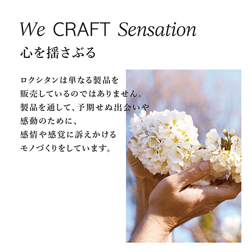 We CRAFT Sensation1