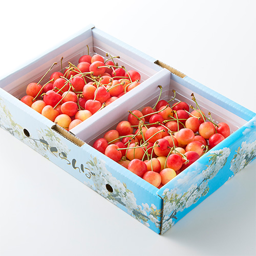 ���͂��C���[�W