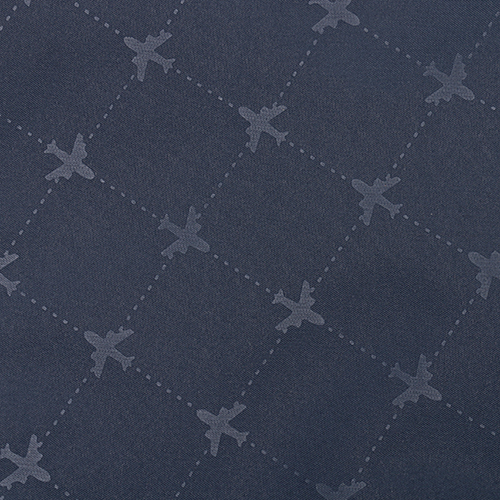 �����A���[�|�[�`�̐��n�ɂ͂��肰�Ȃ���s�@���������Ă��܂��B