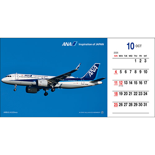 G͂ 10 AIRBUS A320neo
