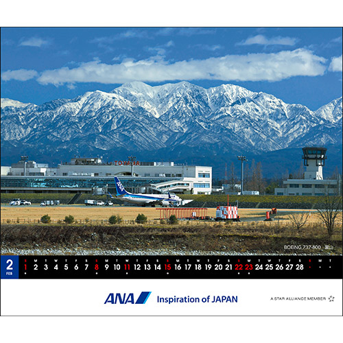 チ2 BOEING 737-800 xR