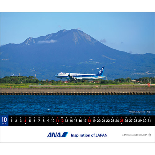 チ 10 AIRBUS A321ceo Ďq