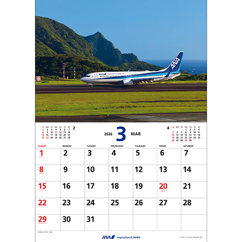 3 BOEING 737-800䓇<br>W]fbL猩΁BŐ𓞒ւƗޏuԂ_Ă݂B