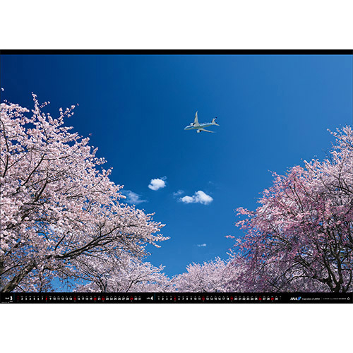 3-4 BOEING 787-8 c<br>؍7ڂɂĖJ̍ƐɂȂB̊GBꂽB