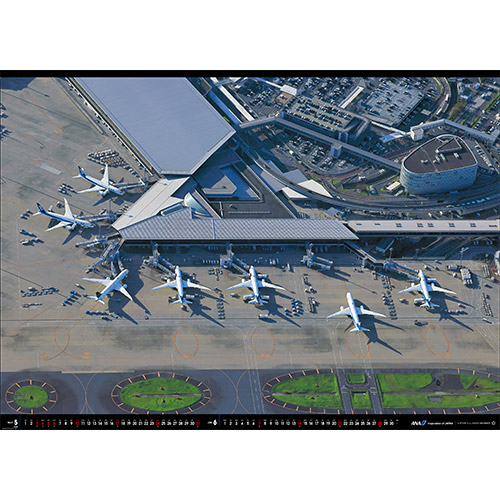 5-6 BOEING 787-8, 787-9 c<br>5000tB[g1^[~iՂőB