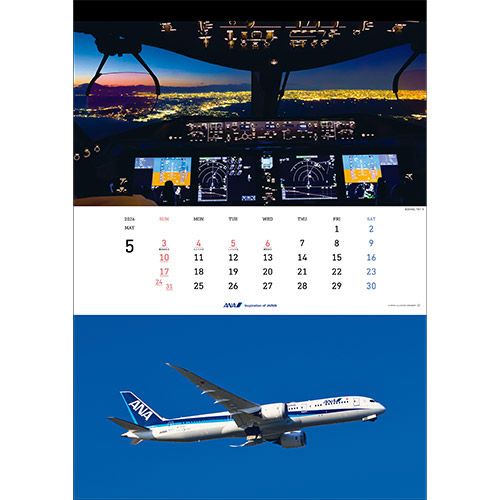 5 BOEING 787-9