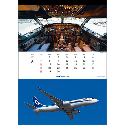 6 BOEING 737-800