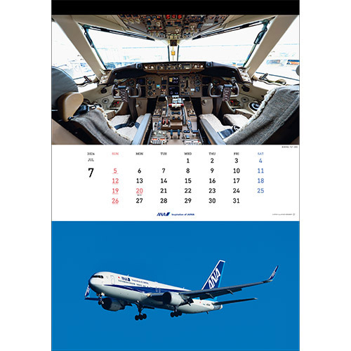 7 BOEING 767-300