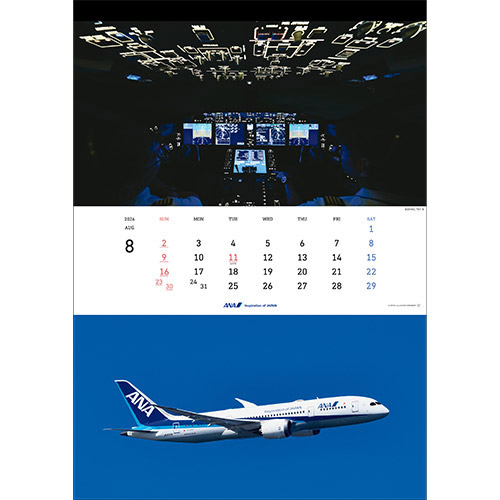 8 BOEING 787-8