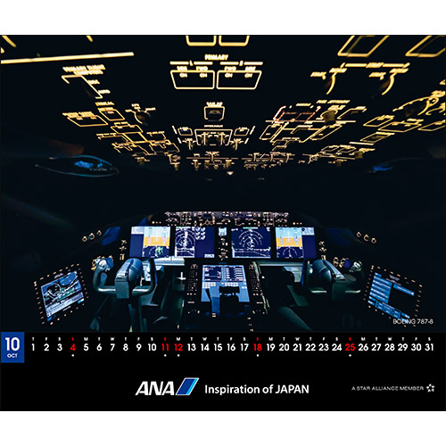 10 BOEING 787-8