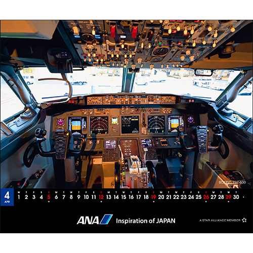 4BOEING 737-800