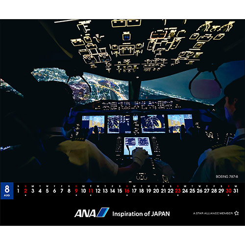 8 BOEING 787-8