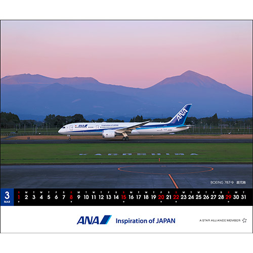 3 BOEING 787-9 