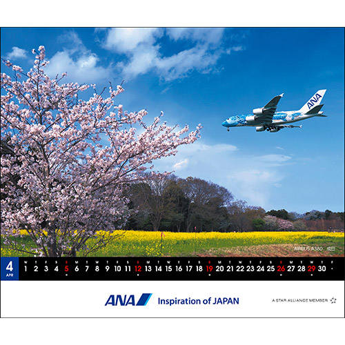 4 AIRBUS A380 c