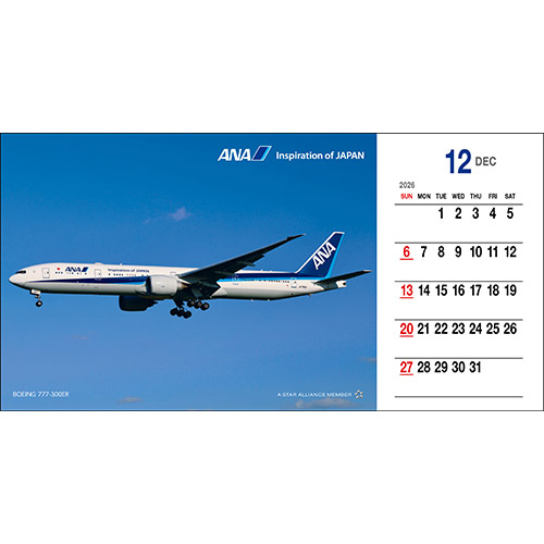 12 BOEING 777-300ER