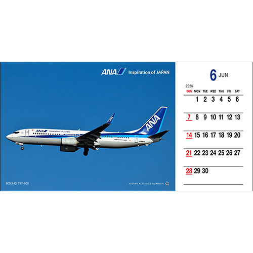 6 BOEING 737-800